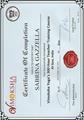 Certificat 300h TTC